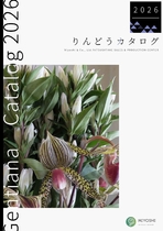 リンドウカタログ2025