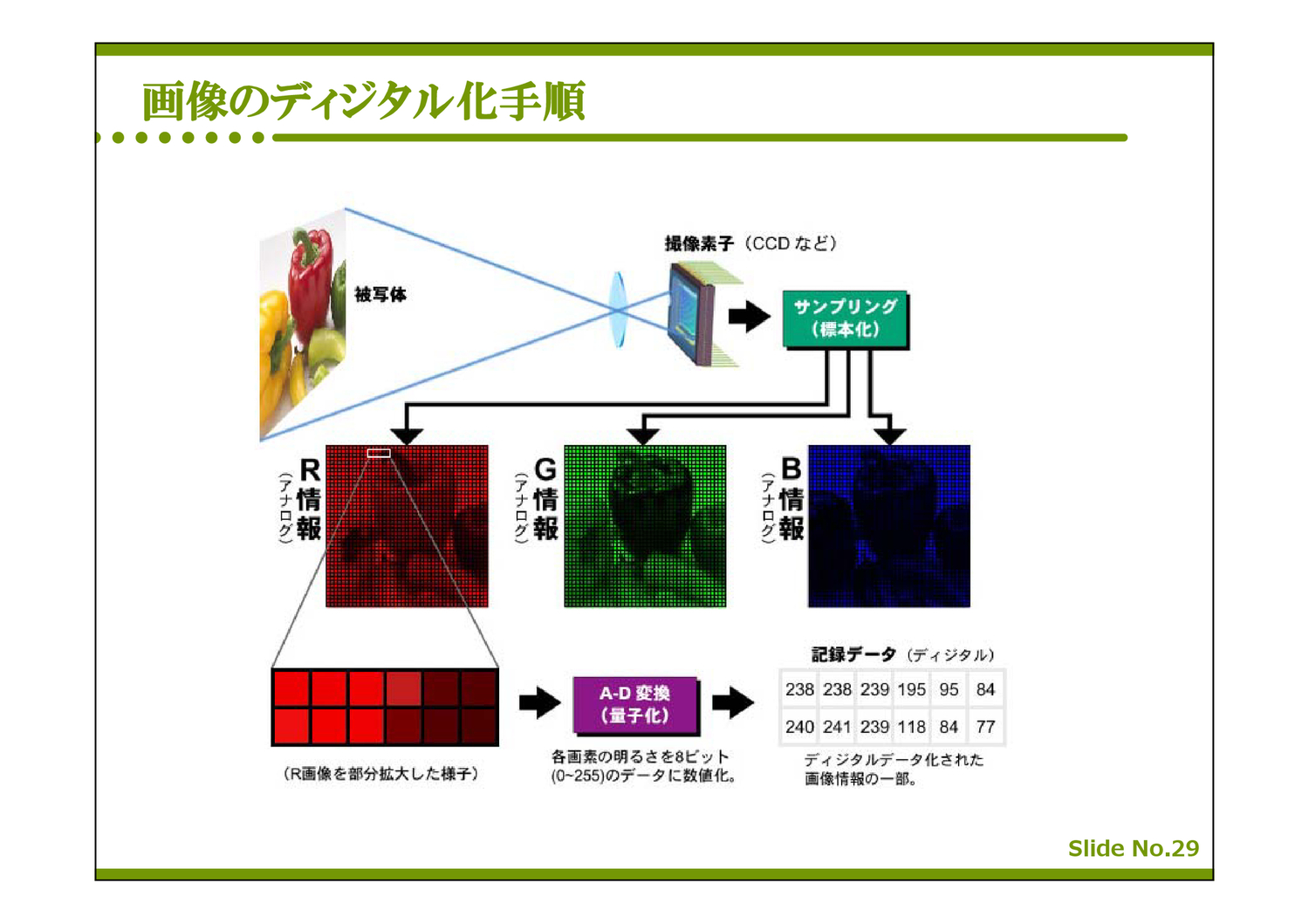 ３ デジタルコンテンツ ３ デジタルコンテンツ ３ デジタルコンテンツ ３ デジタルコンテンツ ３ デジタルコンテンツ ３ デジタルコンテンツ ３ デジタルコンテンツ ３ デジタルコンテンツ ３ デジタルコンテンツ ３ デジタルコンテンツ ３